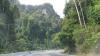 Dungla przy drodze